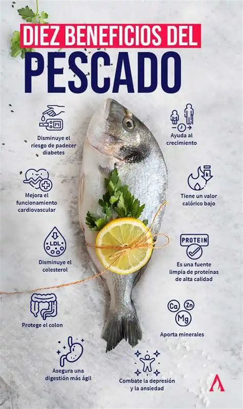 Esquema de los beneficios nutricionales del pescado y marisco para la salud del adulto mayor