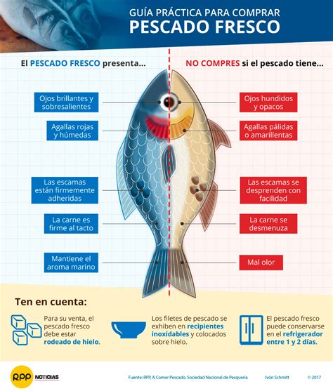 Infografía sobre cómo identificar pescado y marisco fresco