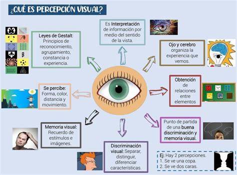 Esquema de intervención de rehabilitación de la percepción visual basada en plasticidad
