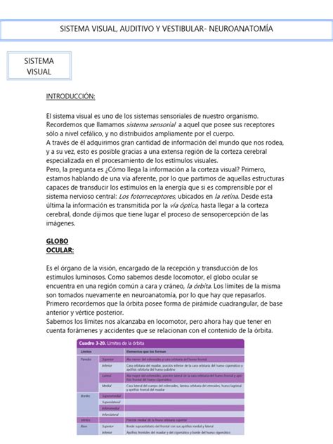 Esquema de interacción entre sistema vestibular, percepción visual y TEA