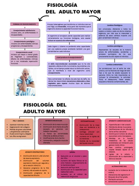Infografía: Cambios fisiológicos en el adulto mayor y su impacto en la nutrición