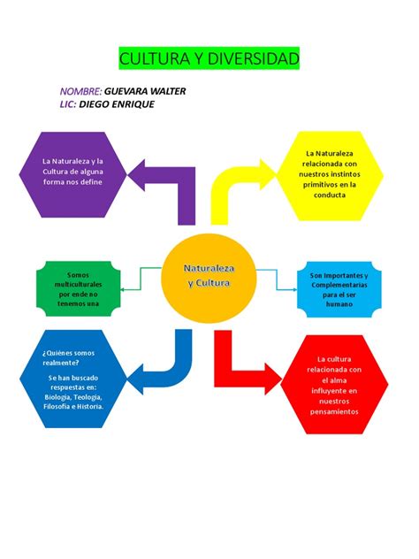 Esquema conceptual sobre la diversidad de subgéneros en el contenido para adultos