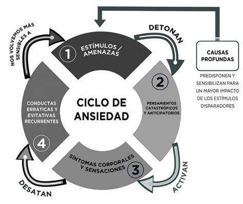 Infografía: Ciclo de la ansiedad y el estrés en personas con discapacidad, mostrando factores desencadenantes, síntomas somáticos y conductuales.
