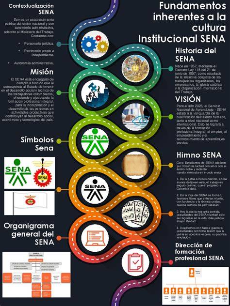 Infografía sobre dinámica institucional y roles en el hospital