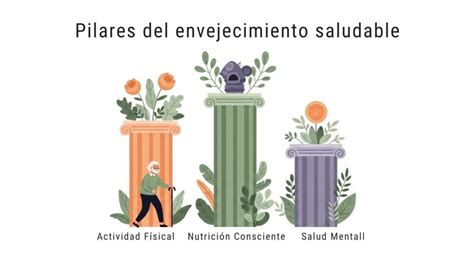 Esquema sobre los pilares del envejecimiento saludable: actividad física, estimulación cognitiva e interacción social.