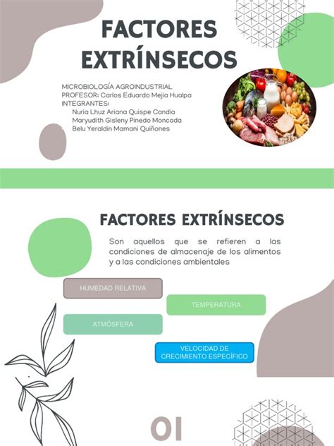 Infografía: Factores intrínsecos y extrínsecos que contribuyen a las caídas en ancianos