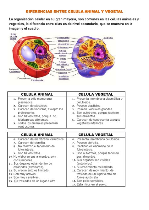 Esquema comparativo: Diferencias entre la crisis oculógira (médica) y el lenguaje corporal (comunicativo).