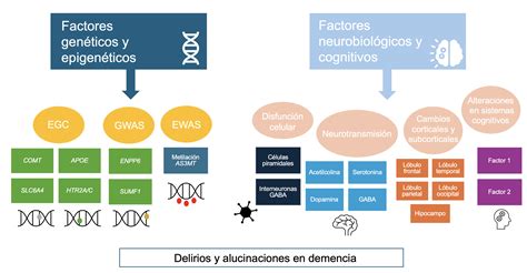 Esquema visual sobre la interacción entre factores genéticos y ambientales en el desarrollo de la esquizofrenia