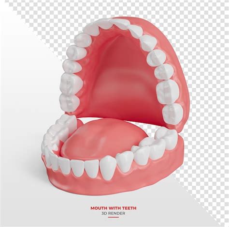 Representación de una boca abierta con dentadura visible