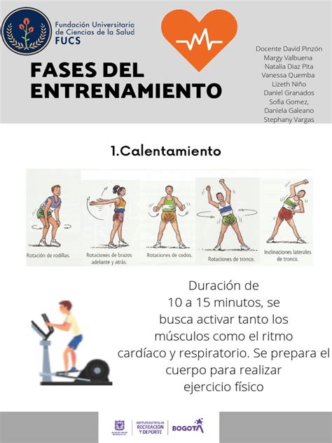 Esquema de las fases del entrenamiento deportivo