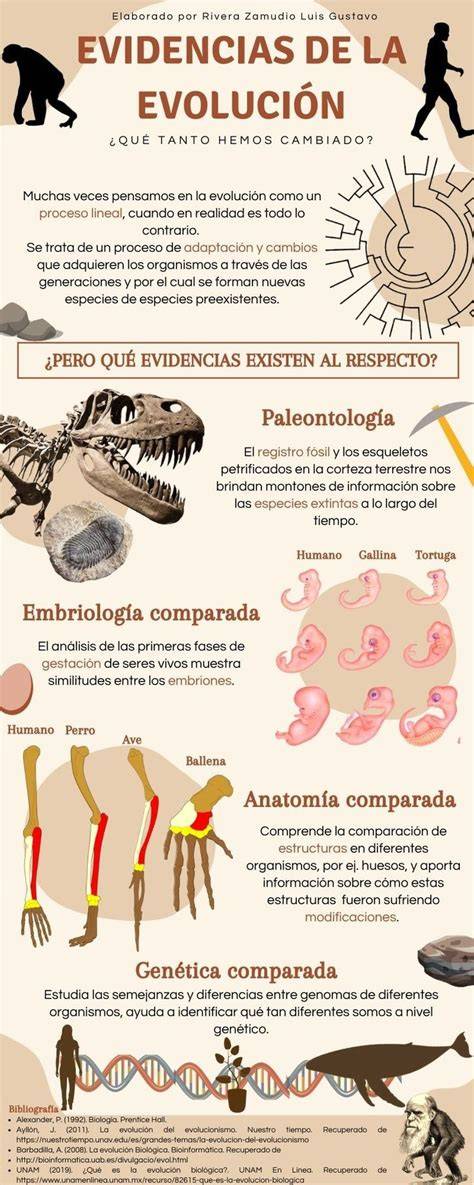 Infografía sobre la evolución de filtros de envejecimiento y privacidad en redes sociales