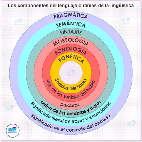 Infografía: componentes de la accesibilidad lingüística (sintáctica, semántica, discursiva)