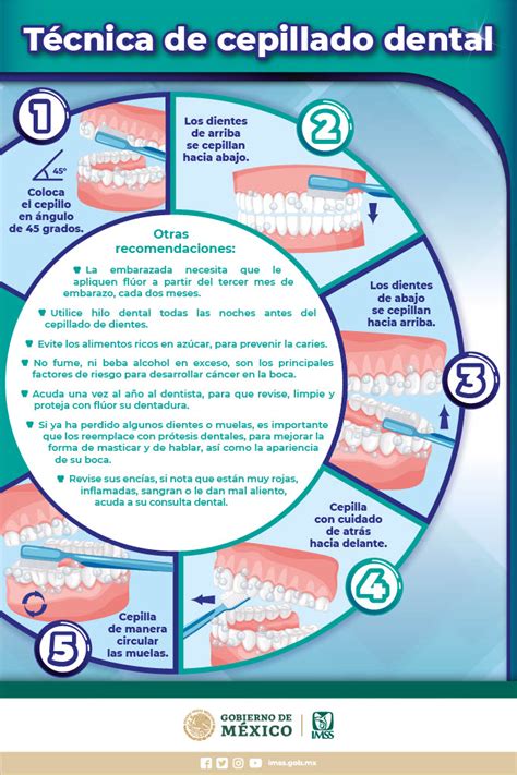 Infografía sobre los pasos de un cepillado dental correcto