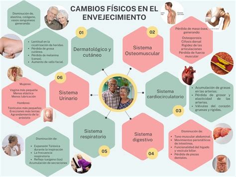 Esquema de los cambios físicos, cognitivos y sociales en la vejez