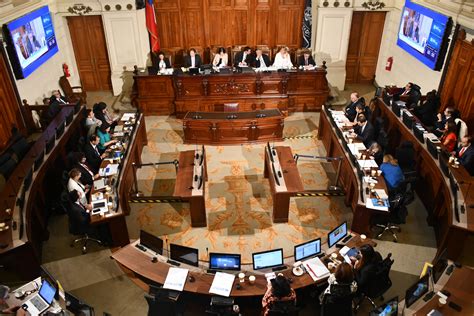 diagrama sobre el proceso constituyente y los derechos de las personas mayores