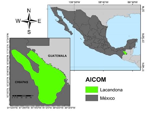Mapa de Chiapas, México, resaltando la Selva Lacandona y la región de influencia zapatista.