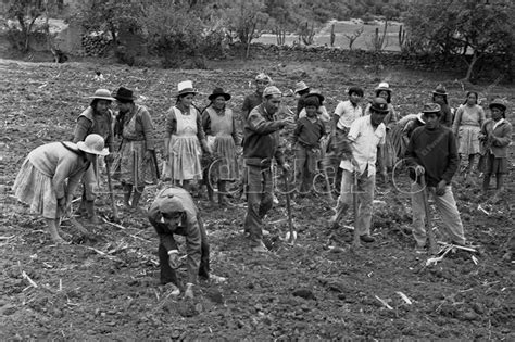 Fotografía de mujeres zapatistas trabajando en cooperativas agrícolas o artesanales.