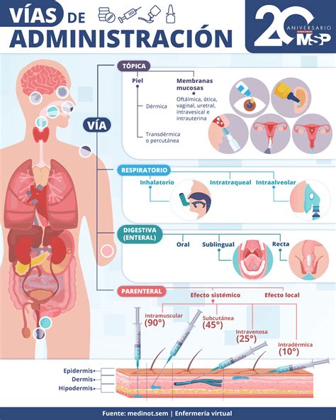 Diagrama de las diferentes vías de administración de la quimioterapia