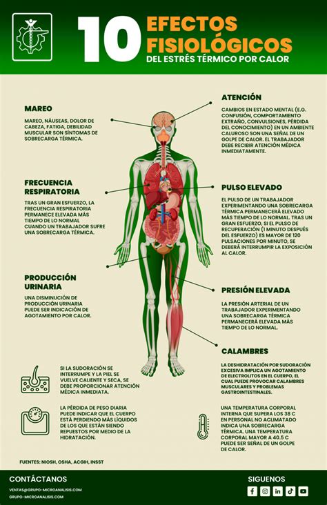 Infografía mostrando los efectos fisiológicos de la risa en el cuerpo humano (corazón, cerebro, músculos)