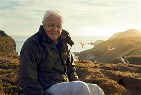 Sir David Attenborough explorando la naturaleza