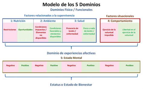 infografía sobre los 5 dominios de la Calidad de Vida Familiar según el modelo del Centro Beach de Discapacidad