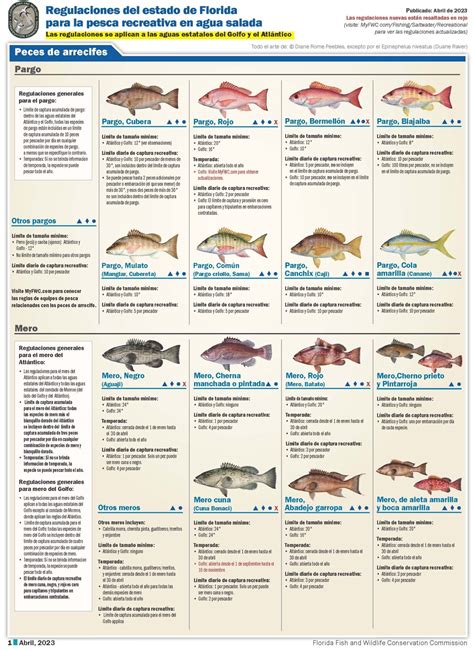 Infografía sobre las regulaciones de pesca en el Arroyo de Valizas y lagunas costeras salobres en Uruguay