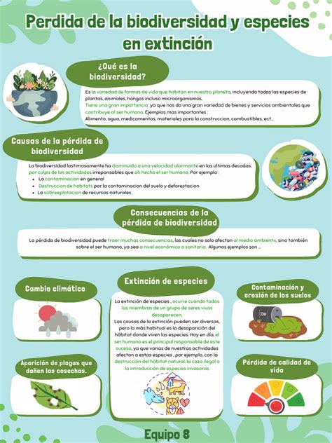Infografía sobre las causas de la pérdida del olfato