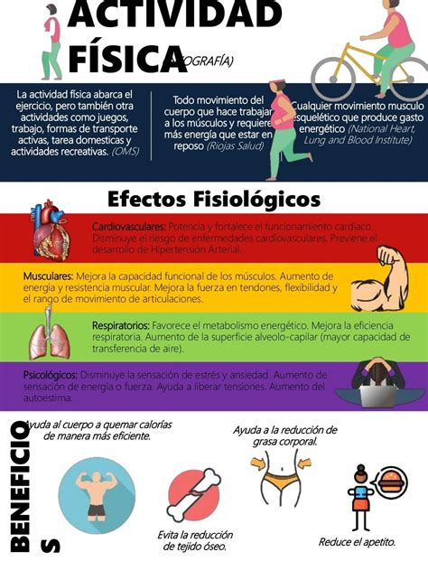 Infografía comparativa: Mitos comunes vs. Realidad sobre la actividad física en la tercera edad.