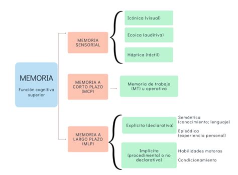 Esquema visual sobre la diferencia entre el borrado de la memoria y la incapacidad de recuperar recuerdos.