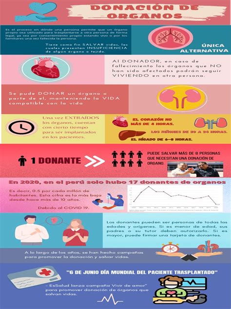 Infografía sobre el proceso de donación de médula ósea