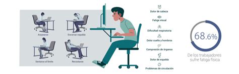 Infografía detallada que ilustra la postura correcta y los ajustes clave en una silla ergonómica para asegurar el máximo confort y soporte.