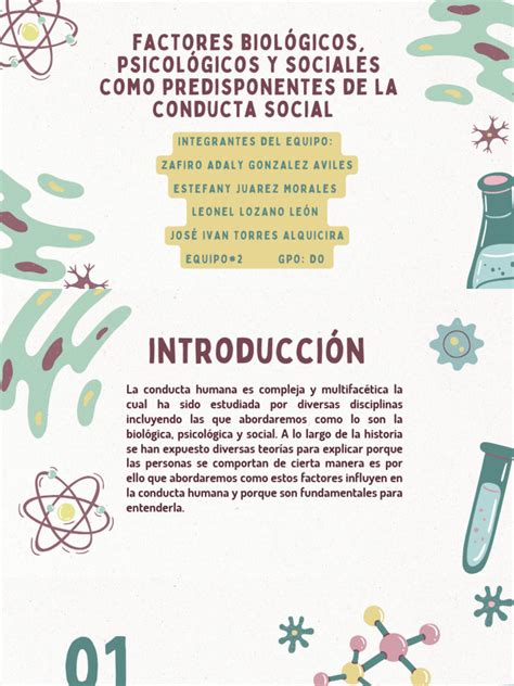 Infografía mostrando la interconexión entre factores biológicos, psicológicos y sociales en el envejecimiento