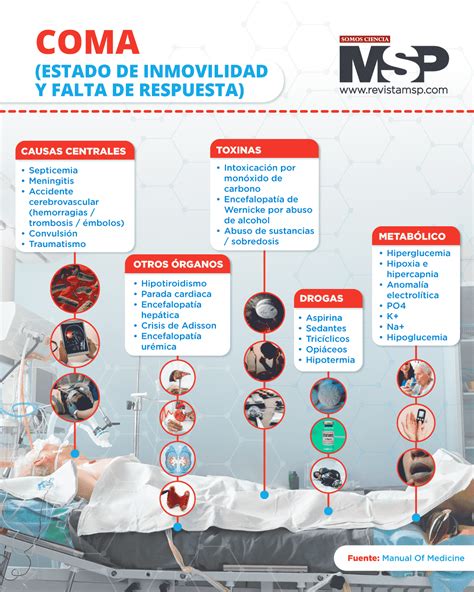 Infografía: Causas comunes del coma en la población anciana