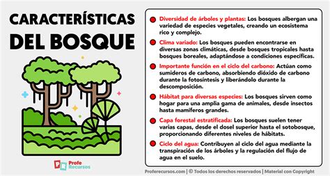 Tres árboles con características simbólicas diferentes en un bosque