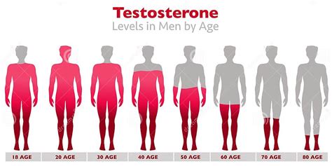 Gráfico ilustrativo sobre los niveles de testosterona en hombres por edad