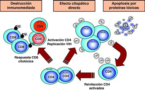 esquema de las vías de transmisión del VIH