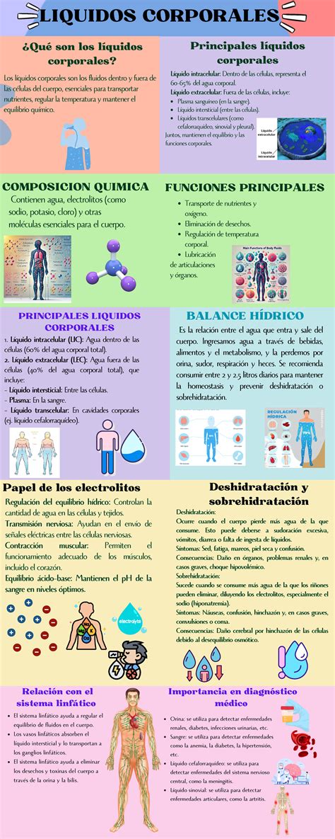 Infografía que ilustra los diversos sistemas corporales afectados por el síndrome inflamatorio perinatal.