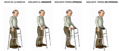 Diagrama mostrando la correcta altura de un andador en relación con el usuario
