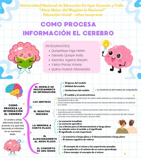 Diagrama de flujo que explica cómo el cerebro procesa la información visual y dónde puede fallar en casos de agnosia o el Signo del Espejo