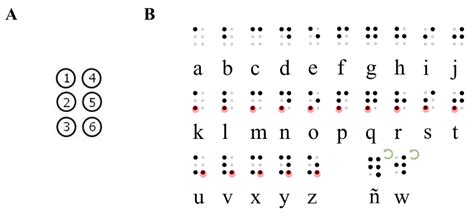 Diagrama de puntos del sistema Braille mostrando las 6 posiciones
