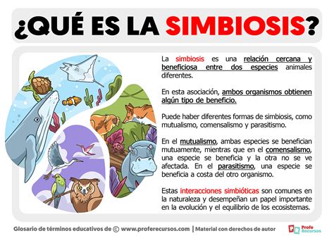 Ilustración de personas interactuando con diferentes tipos de animales, mostrando la relación simbiótica.