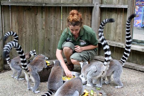 Foto de un cuidador de zoológico interactuando de forma segura con un animal.