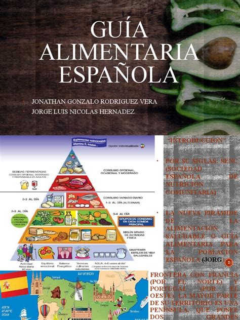 Guía visual para la transición alimentaria de perros
