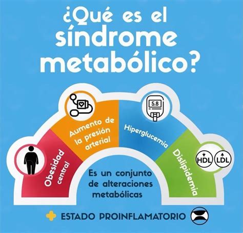 Infografía: Interrelaciones entre envejecimiento, fragilidad y síndrome metabólico