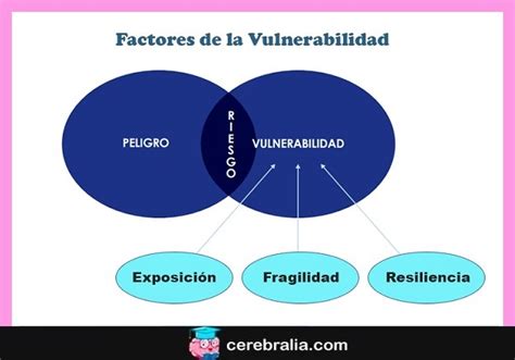 Infografía detallando los tres componentes clave de la vulnerabilidad: exposición, fragilidad y resiliencia.