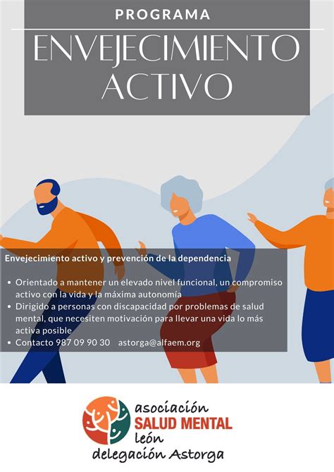 esquema del programa de envejecimiento activo en Chiloé