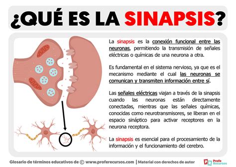 Infografía que explica el concepto de 