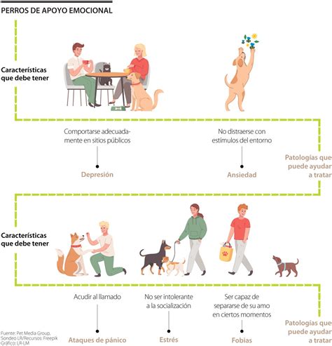 infografía: diferencias entre perro de servicio y animal de apoyo emocional