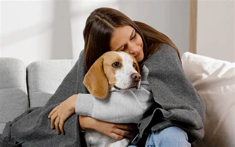 perro de apoyo emocional brindando consuelo a una persona