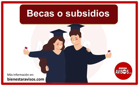 Infografía comparativa de los diferentes tipos de becas y subsidios ofrecidos por la USM, detallando a quiénes aplican y sus características principales.